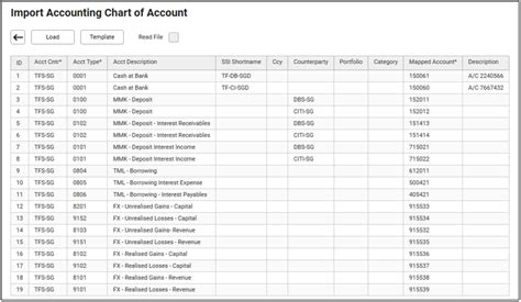 Account Import Template