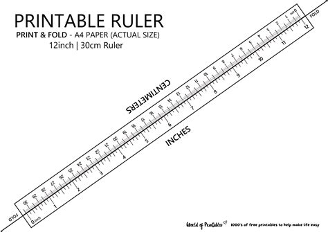 Accurate Measurements with Printable Centimeter Ruler