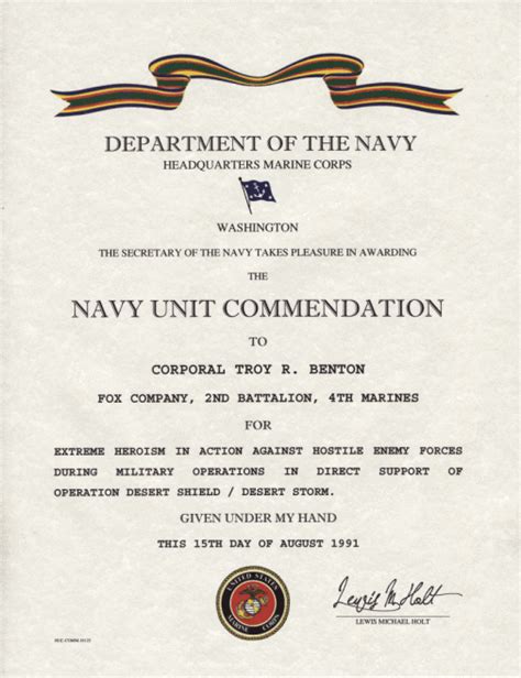 Strategies for Navy Unit Commendation