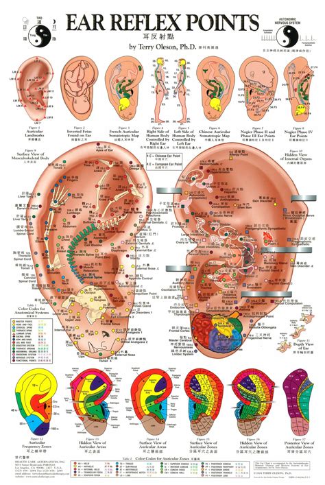 Acupuncture Points 2