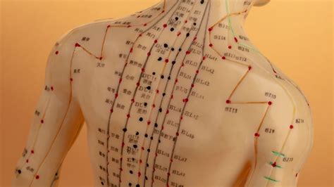 Acupuncture Techniques 6