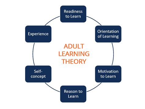 Adult Learning Theory Image