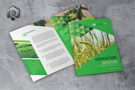 Affinity Publisher Brochure Design Example 9