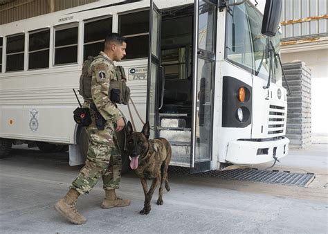 Air Force Canine Handlers in Combat