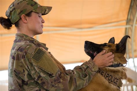 Air Force Canine Handlers Enhancing Force Protection