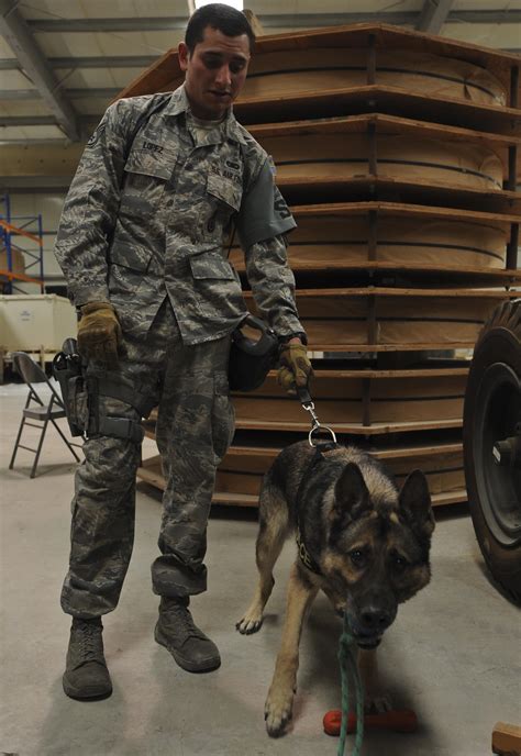 Air Force Canine Handlers in Search and Rescue