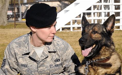 Air Force dog handler and canine companion