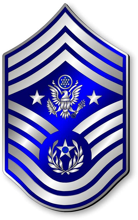 Air Force Insignia