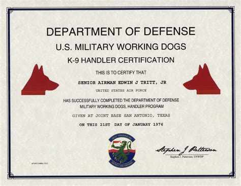 Air Force K9 Handler Awards and Certifications