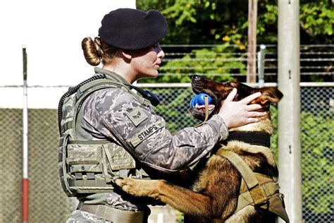 Air Force K9 Handler Career Path