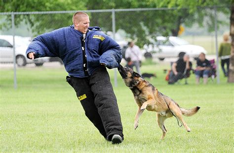 Air Force K9 Handler Physical Fitness Training