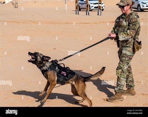 Air Force K9 Handler Security Forces Academy