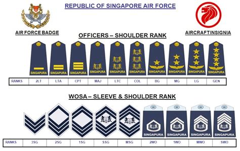 Air Force Officer Insignia Tradition