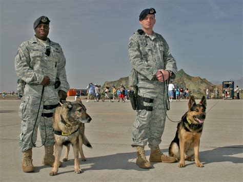 Air Force Police K9