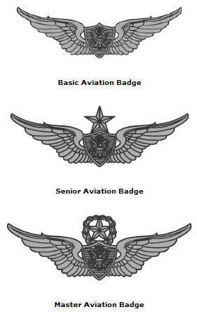 Air National Guard Pilot Badge