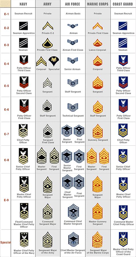 Air National Guard Rank Insignia