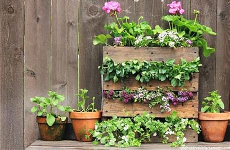 Alternative Gardening Methods