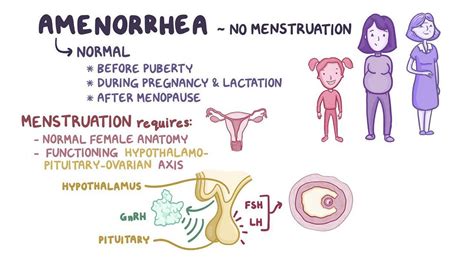 Amenorrhea Symptoms and Causes