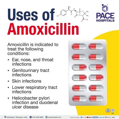 Amoxicillin Effects on Gut