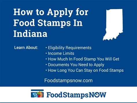 Anderson Indiana Food Stamp Program Statistics