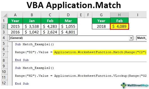 Application Match Function Excel VBA