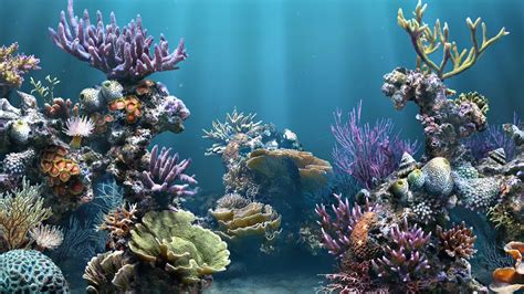 Aquarium background design gallery image 3