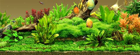 Aquarium background design gallery image 6