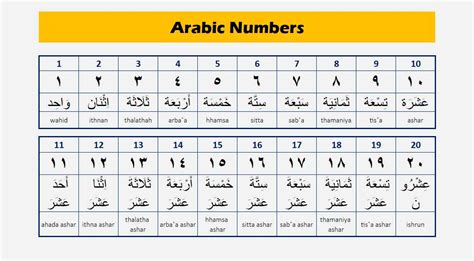 Arabic Numbers Next Steps