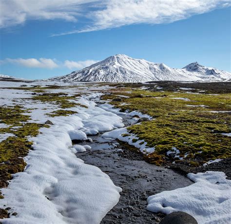 Arctic Tundra Image