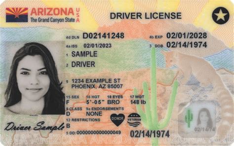 Arizona Driver License