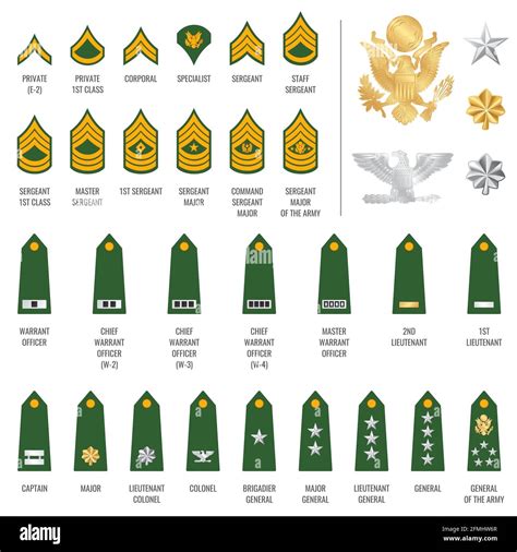 Army Rank Structure