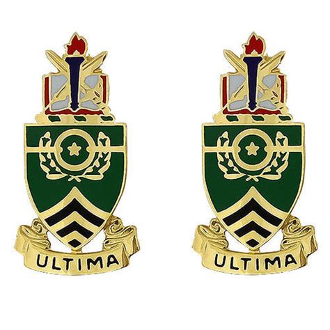 Army Sergeant Major crest