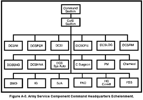 Army Service Component Command Organization