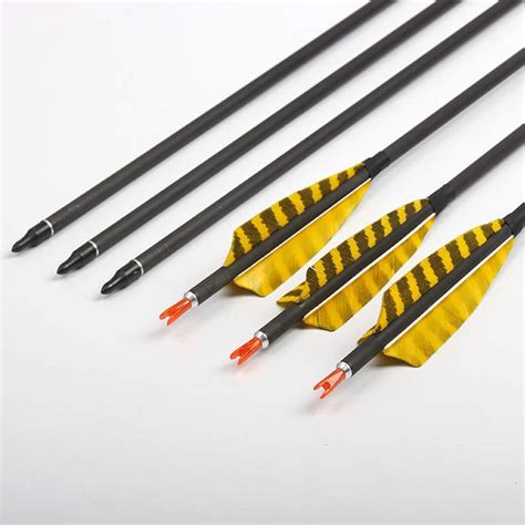 Arrow Science and Carbon Fiber Arrows