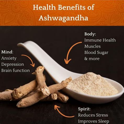 Ashwagandha Quality and Purity