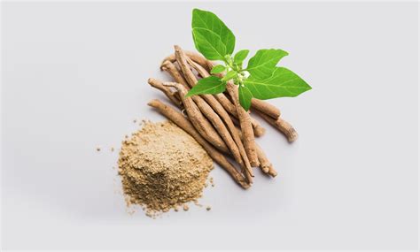 Ashwagandha Safety Overview