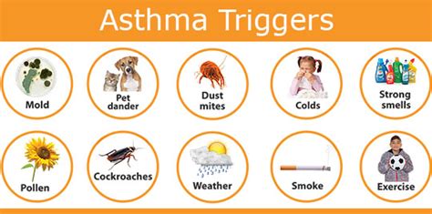 Asthma Triggers