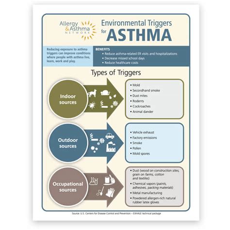 Asthma and Environment: Reducing Exposure to Triggers