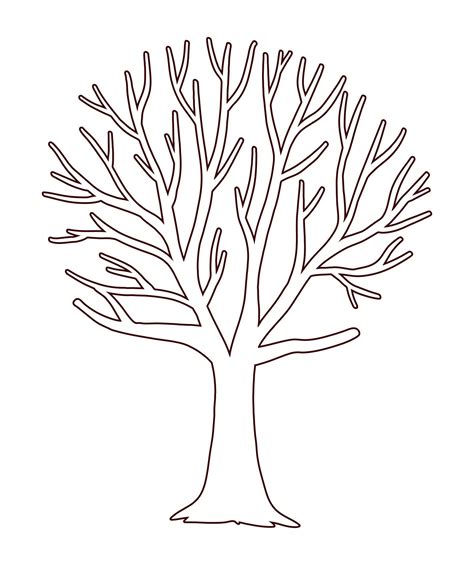 Bare Tree Outline Printable Gallery 1