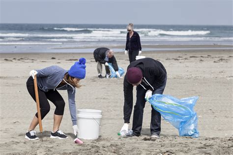 Beach Conservation