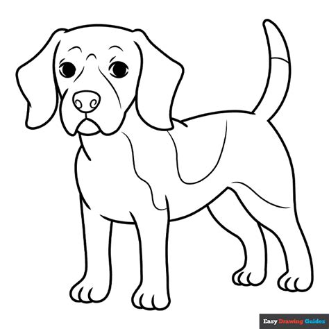 Beagle Coloring Page