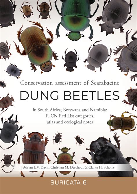 Beetle Conservation