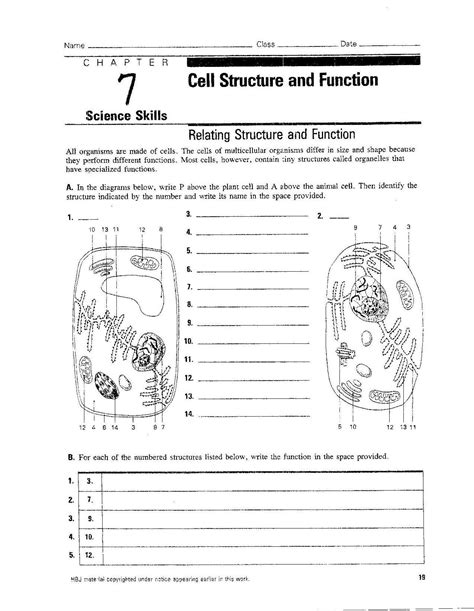 Benefits Of Cell 1 From Alpha Worksheet