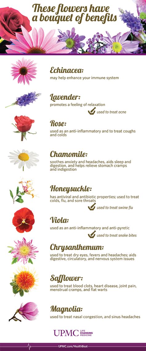 Benefits Of Flower Gardens