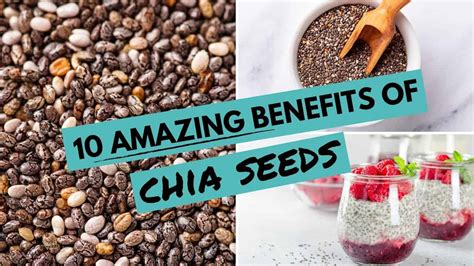 Chia Pets Benefits