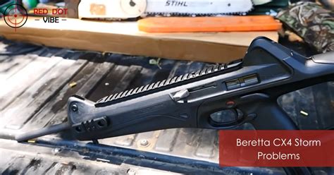 Beretta Cx4 Storm Regulatory Challenges