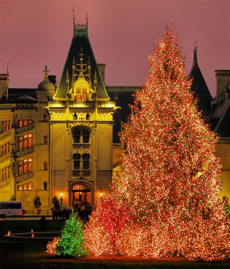 Biltmore Estate Christmas Lights Tree