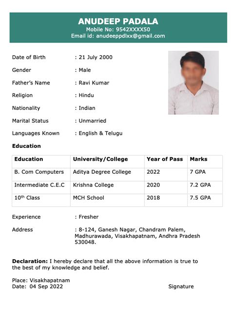 Biodata Template Example 1