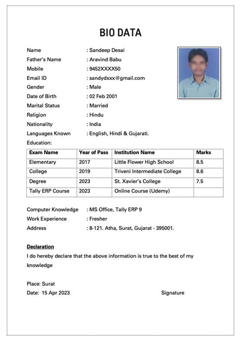 Biodata Template Example 2