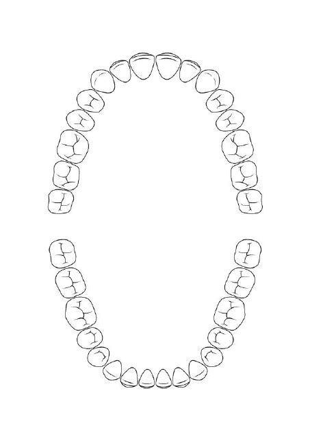 Blank Tooth Chart For Kids